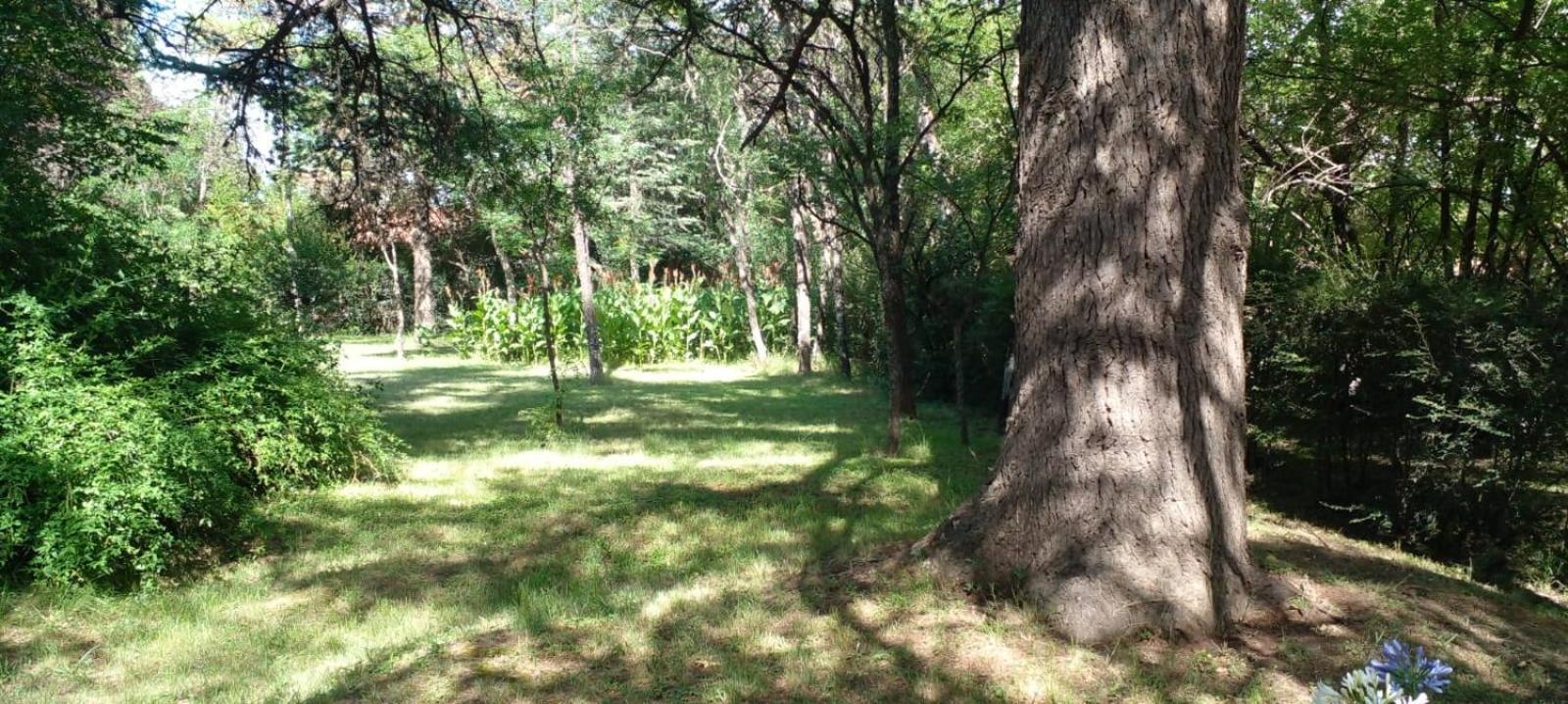 Cabana En Quinta La Aurora Mina Clavero Eksteriør billede